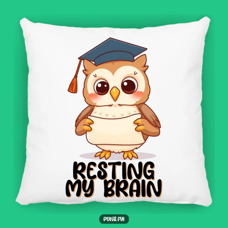 Funny Graduation Owl Pillow: Cozy Comfort for Your Accomplished Scholar